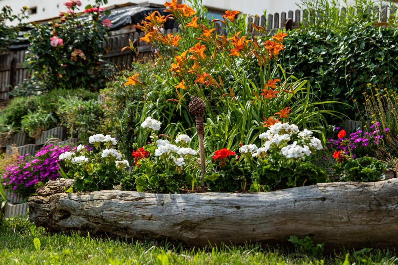 Schweiggerhof -Agriturismo- Farm Holidays Вилландро Экстерьер фото