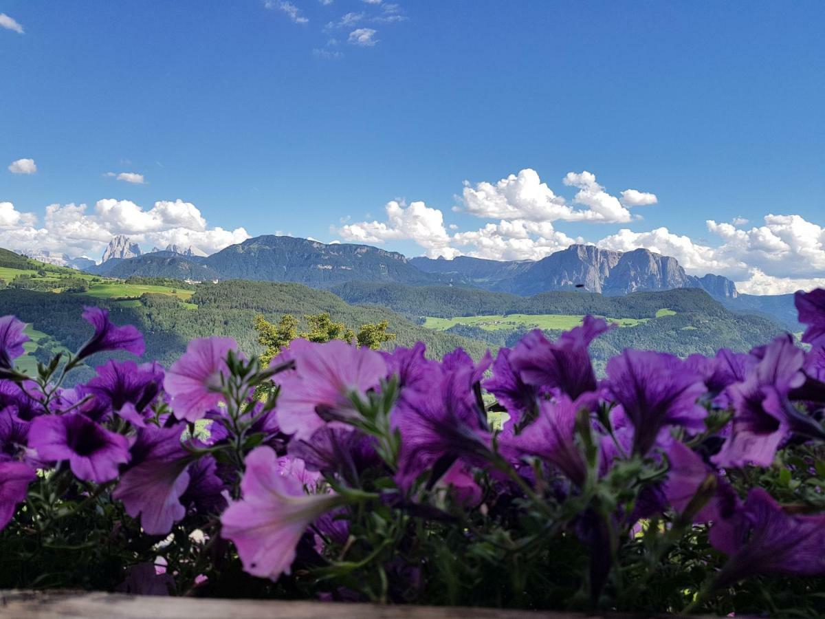 Schweiggerhof -Agriturismo- Farm Holidays Вилландро Экстерьер фото